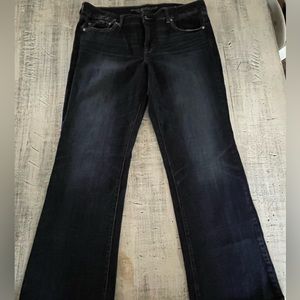 American Eagle Size 18 Favorite Boyfriend Jeans